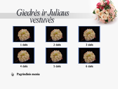 dvd-video-meniu.jpg